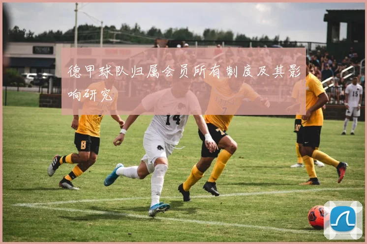 德甲球队归属会员所有制度及其影响研究