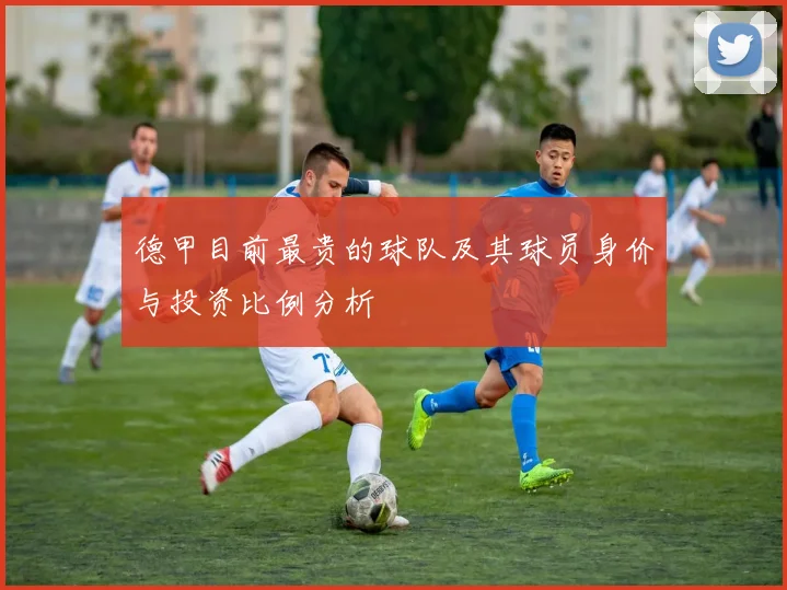 德甲目前最贵的球队及其球员身价与投资比例分析