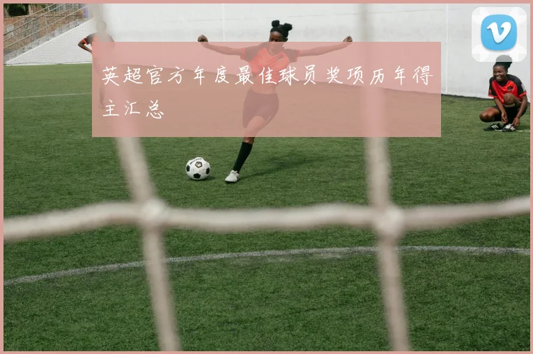 英超官方年度最佳球员奖项历年得主汇总