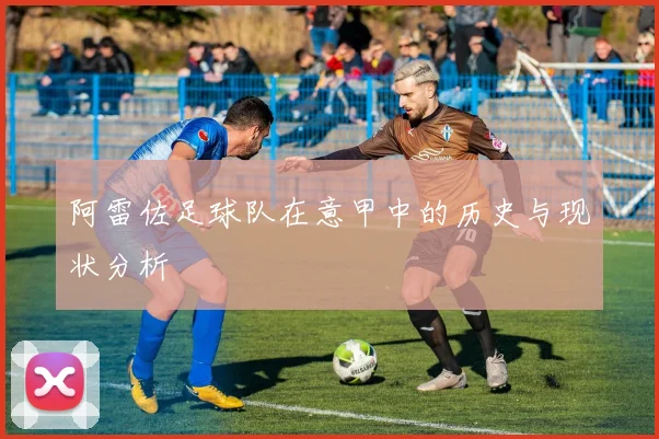 阿雷佐足球队在意甲中的历史与现状分析